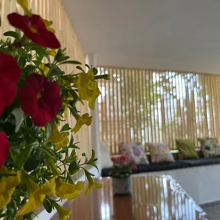 Vila Laura Pasha Villa Ksamil