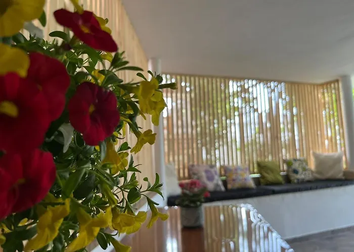 Vila Laura Pasha 别墅 卡萨米尔