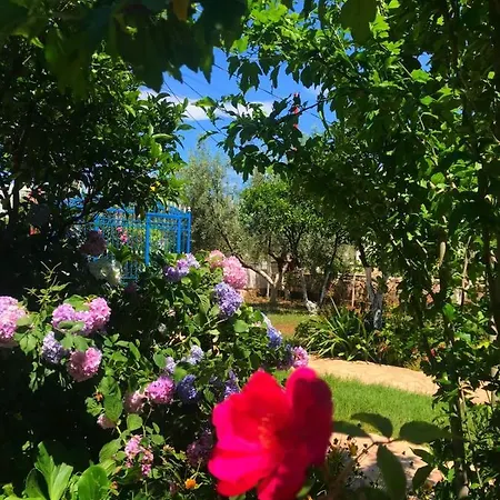 فيلة Vila Laura Pasha كساميل