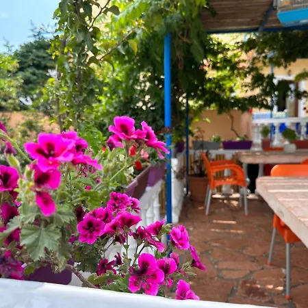 Vila Laura Pasha *