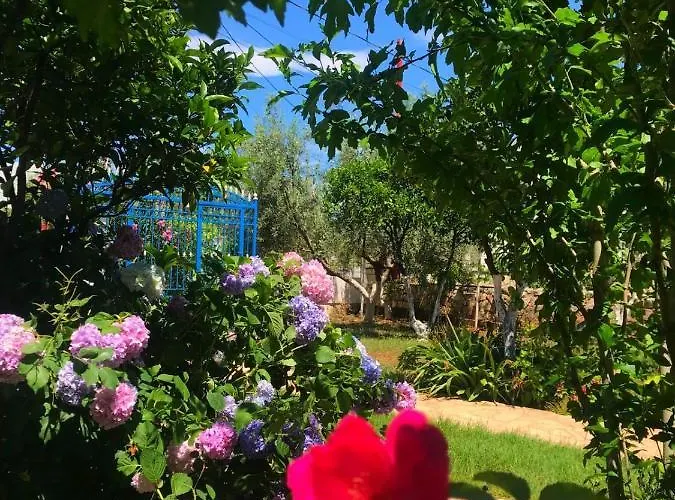 Villa Vila Laura Pasha Ksamil