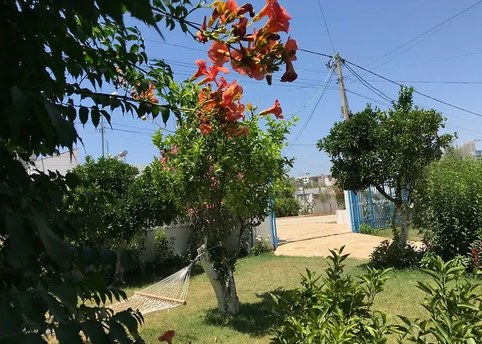 Villa Vila Laura Pasha *